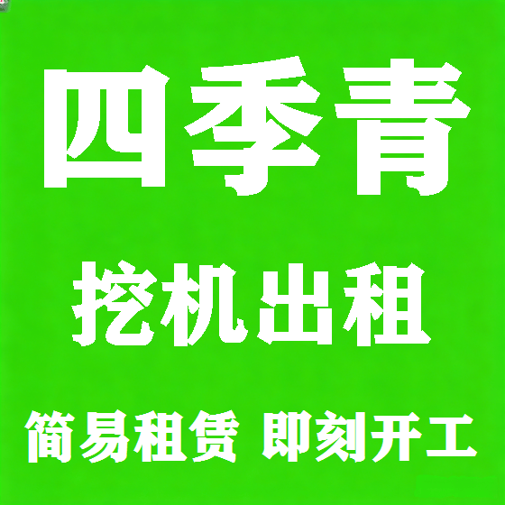 北京四季青挖机租赁图
