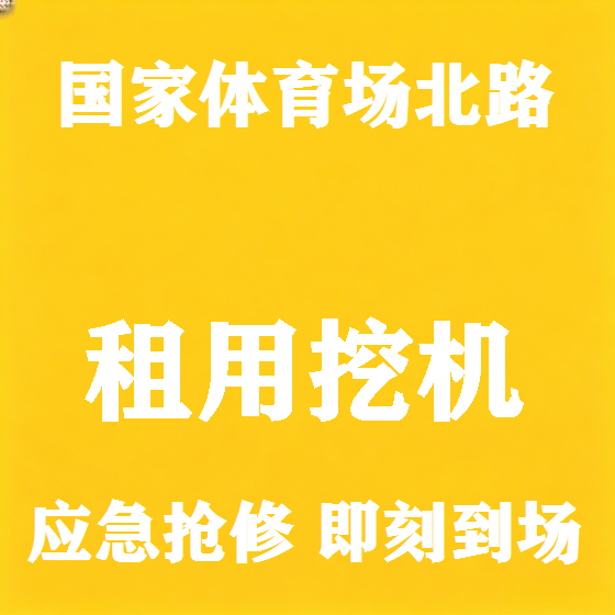 北京国家体育场北路挖机租赁图