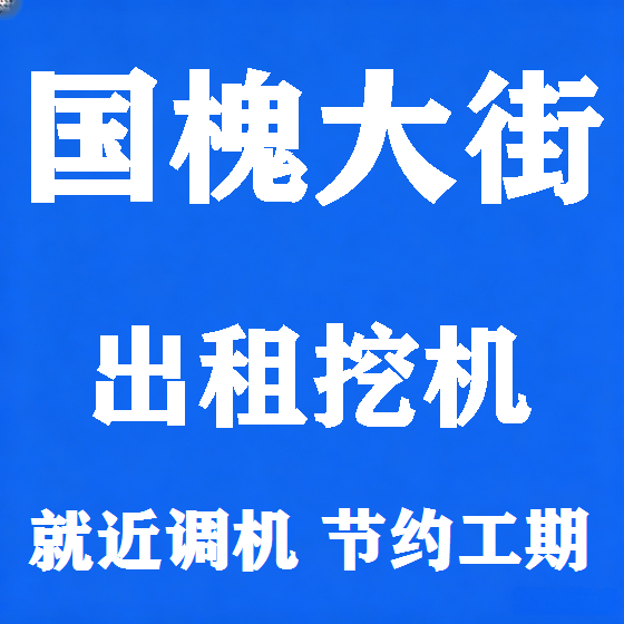 北京国槐大街挖机租赁图