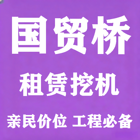 北京国贸桥挖机租赁图