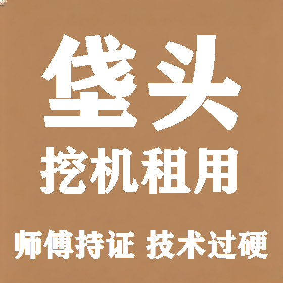 北京垡头挖机租赁图