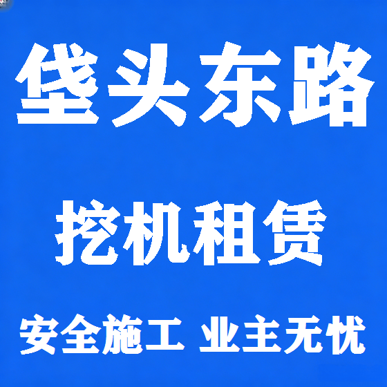 北京垡头东路挖机租赁图