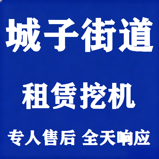 北京城子街道挖机租赁图