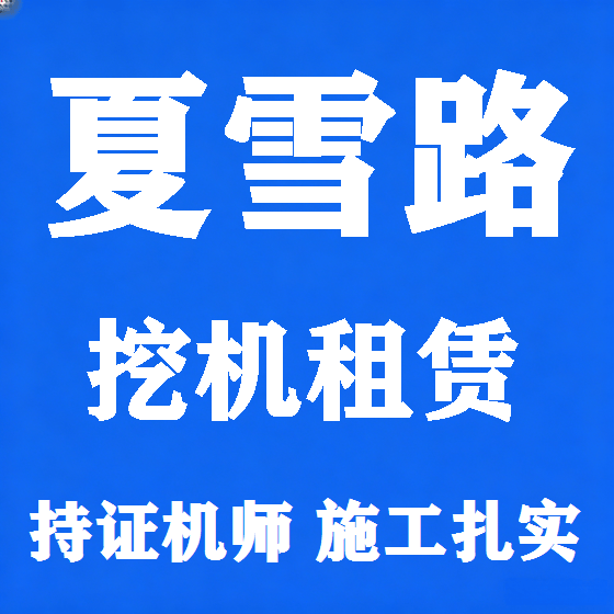 北京夏雪路挖机租赁图