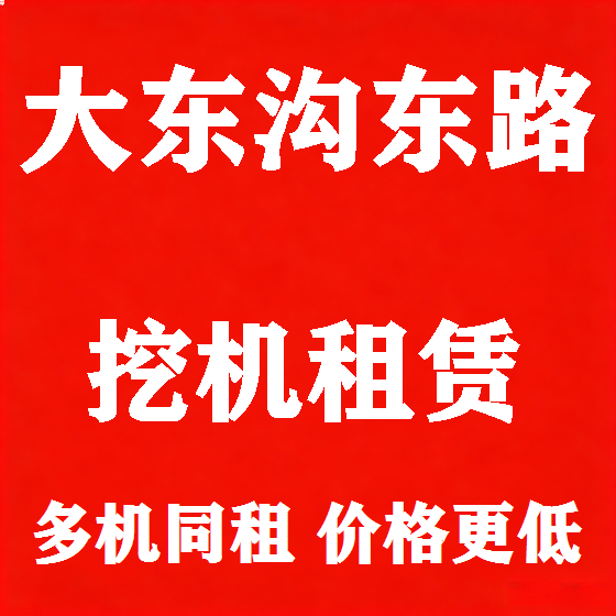 北京大东沟东路挖机租赁图