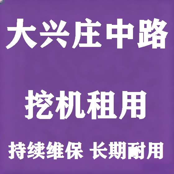 北京大兴庄中路挖机租赁图