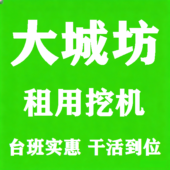 北京大城坊挖机租赁图