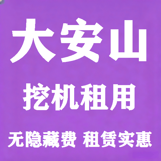北京大安山挖机租赁图