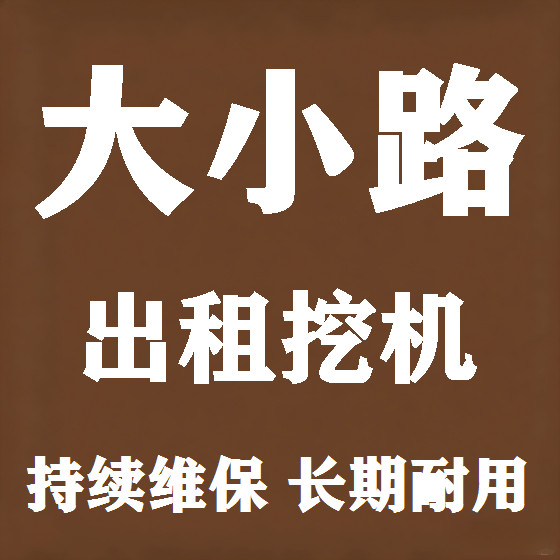 北京大小路挖机租赁图