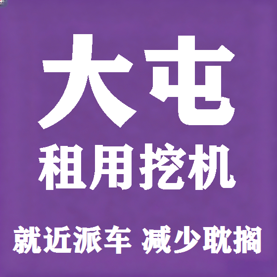 北京大屯挖机租赁图