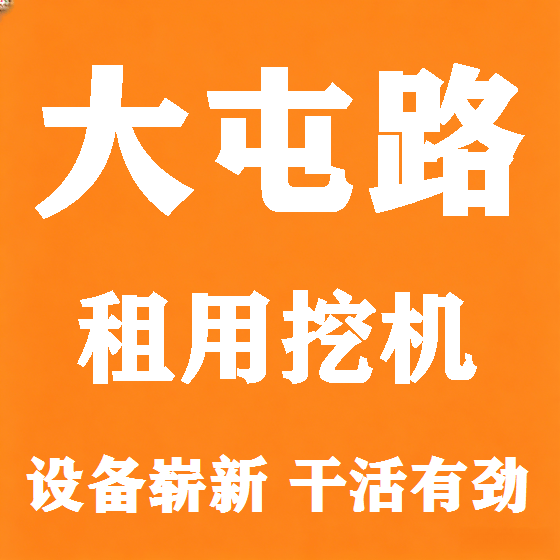 北京大屯路挖机租赁图
