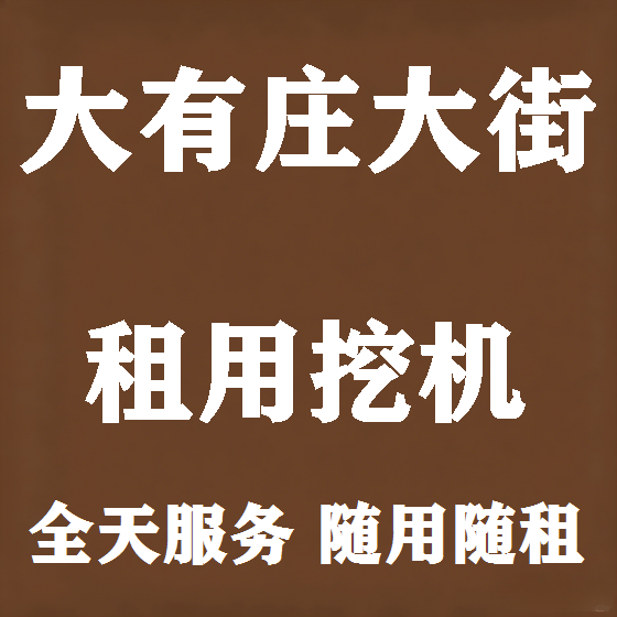 北京大有庄大街挖机租赁图