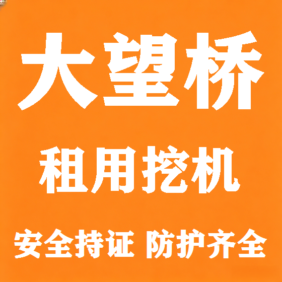 北京大望桥挖机租赁图