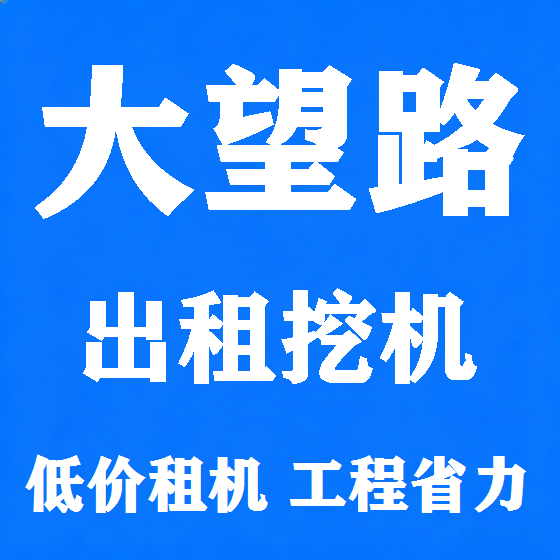 北京大望路挖机租赁图