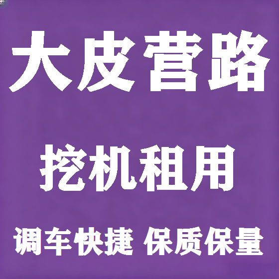 北京大皮营路挖机租赁图