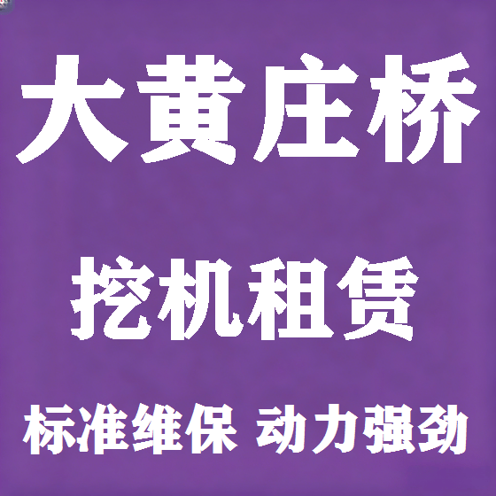 北京大黄庄桥挖机租赁图