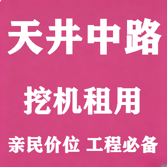 北京天井中路挖机租赁图