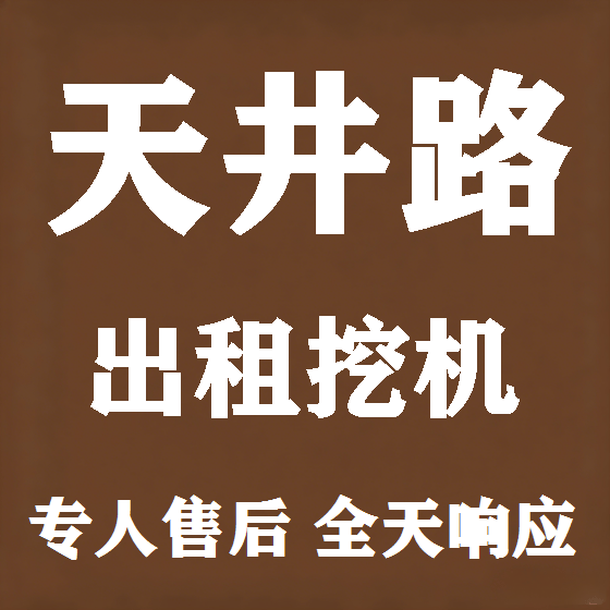 北京天井路挖机租赁图