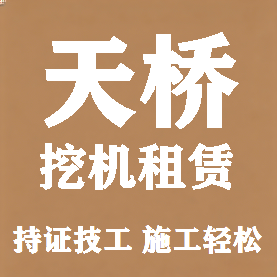 北京天桥挖机租赁图