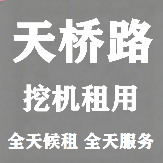 北京天桥路挖机租赁图