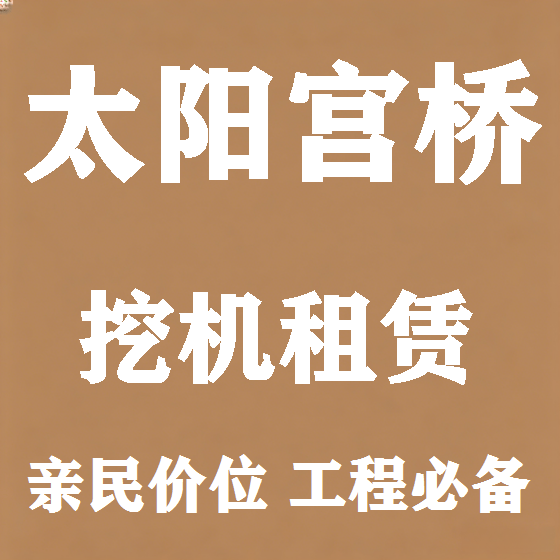北京太阳宫桥挖机租赁图