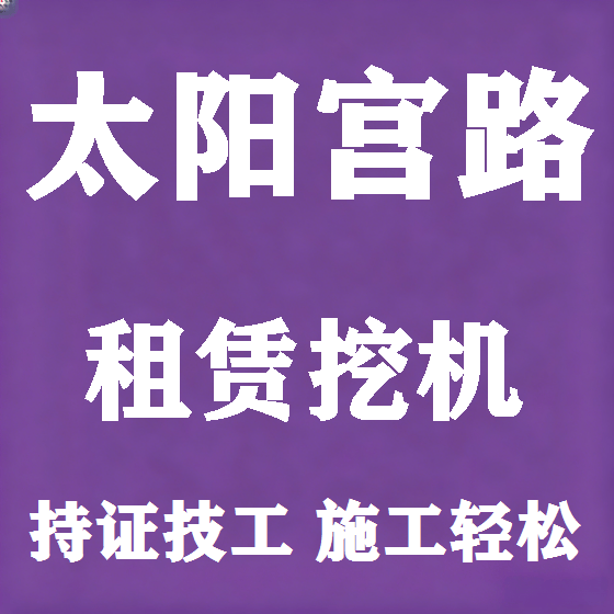 北京太阳宫路挖机租赁图