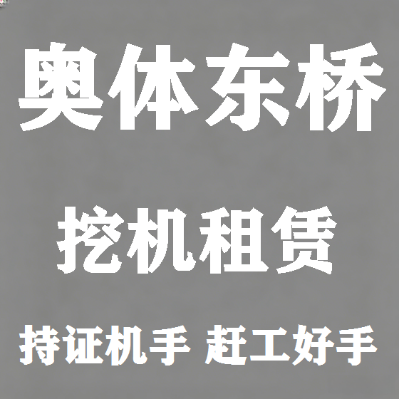 北京奥体东桥挖机租赁图