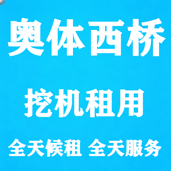 北京奥体西桥挖机租赁图