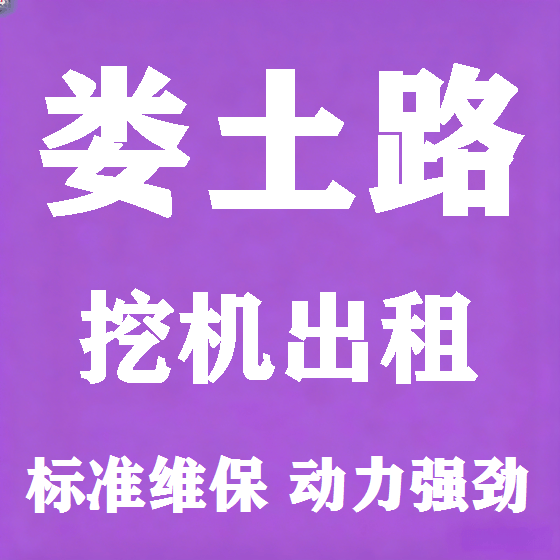 北京娄土路挖机租赁图