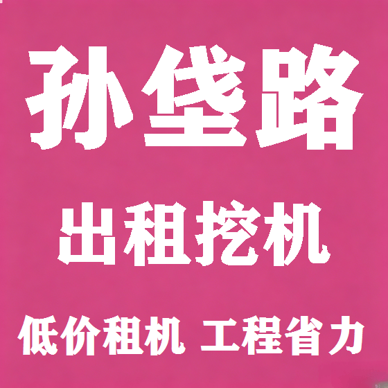 北京孙垡路挖机租赁图