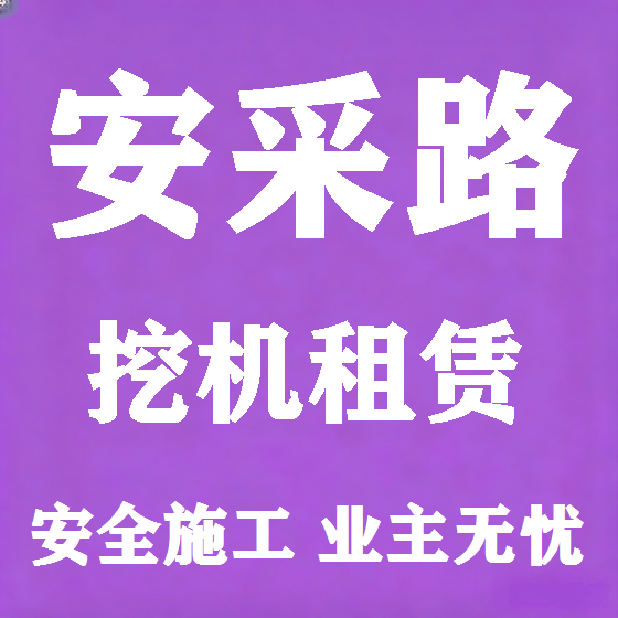 北京安采路挖机租赁图