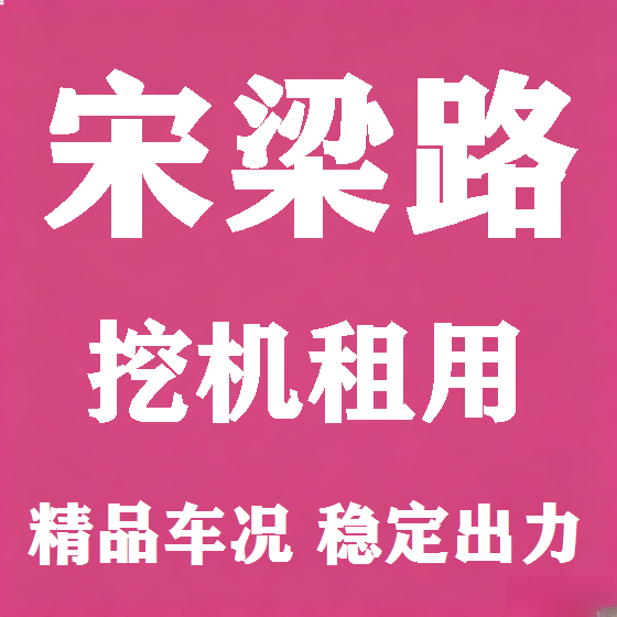 北京宋梁路挖机租赁图
