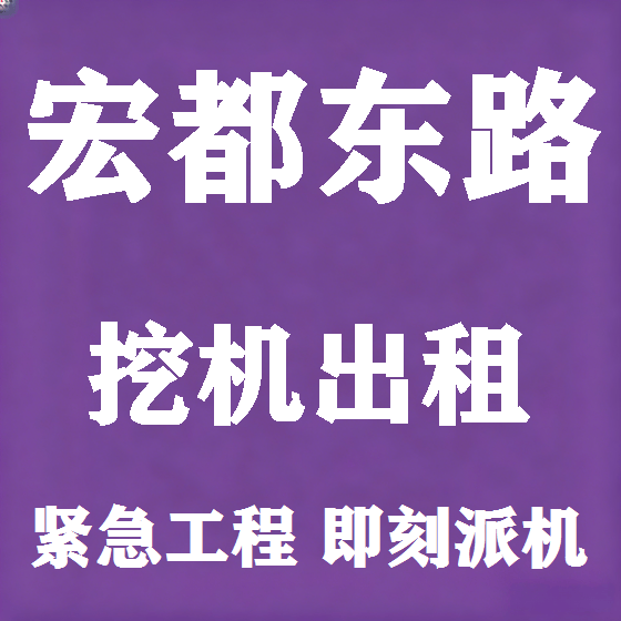 北京宏都东路挖机租赁图