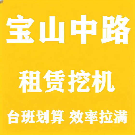 北京宝山中路挖机租赁图
