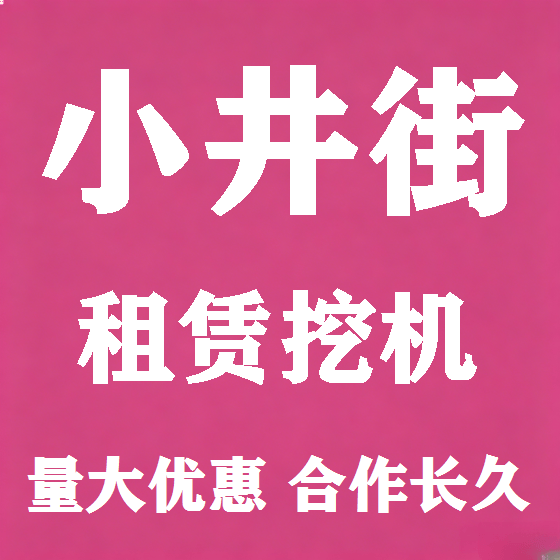 北京小井街挖机租赁图