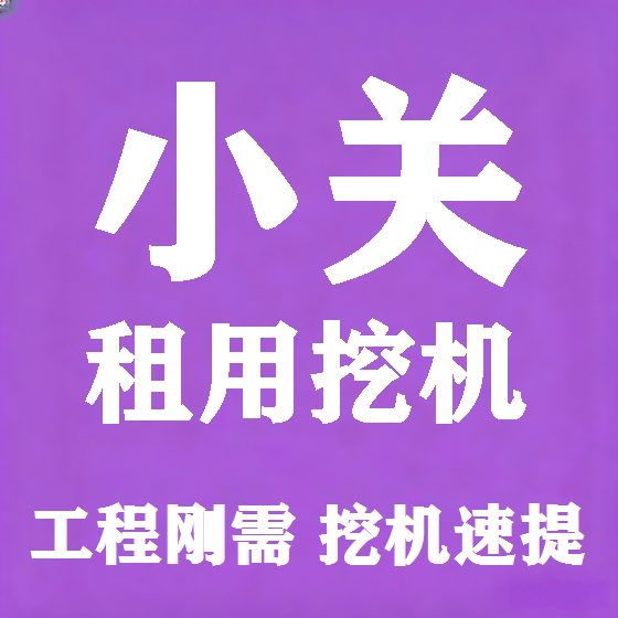 北京小关挖机租赁图