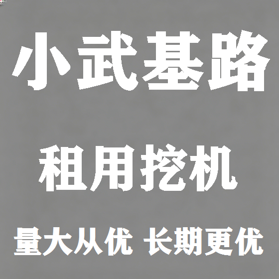 北京小武基路挖机租赁图