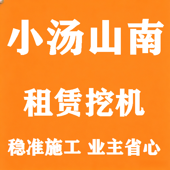 北京小汤山南挖机租赁图