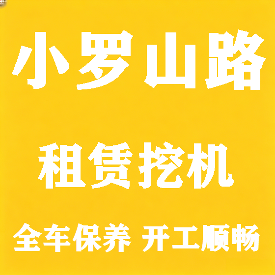 北京小罗山路挖机租赁图