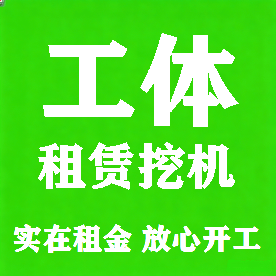 北京工体挖机租赁图