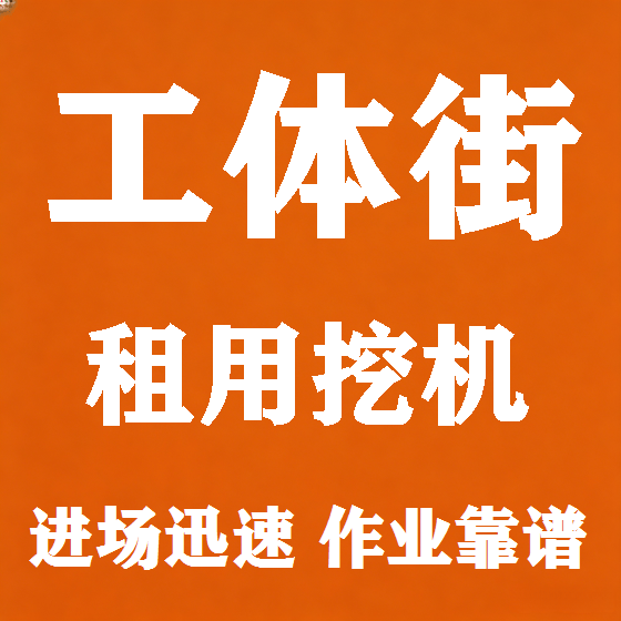 北京工体街挖机租赁图