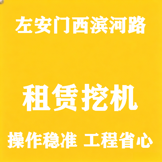 北京左安门西滨河路挖机租赁图