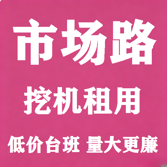 北京市场路挖机租赁图