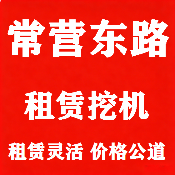 北京常营东路挖机租赁图