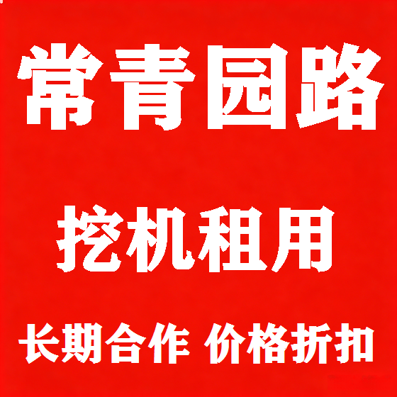 北京常青园路挖机租赁图