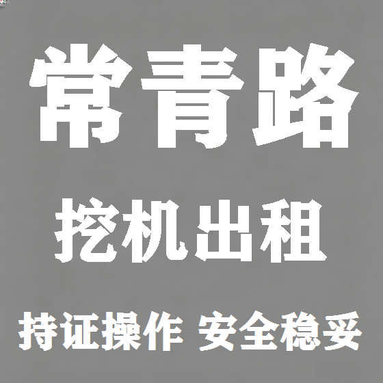北京常青路挖机租赁图