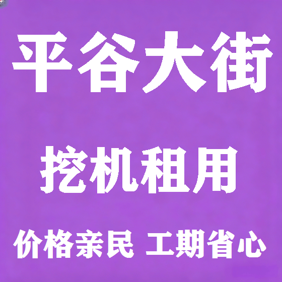 北京平谷大街挖机租赁图
