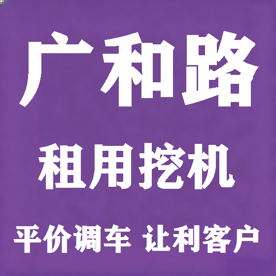 北京广和路挖机租赁图