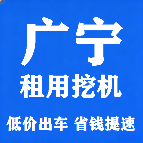 北京广宁挖机租赁图