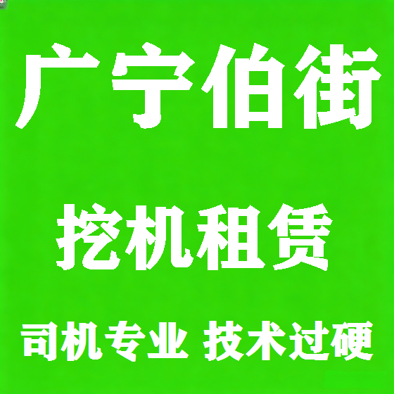 北京广宁伯街挖机租赁图
